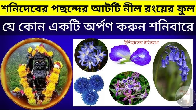 শনিপূজার প্যাকেজ
